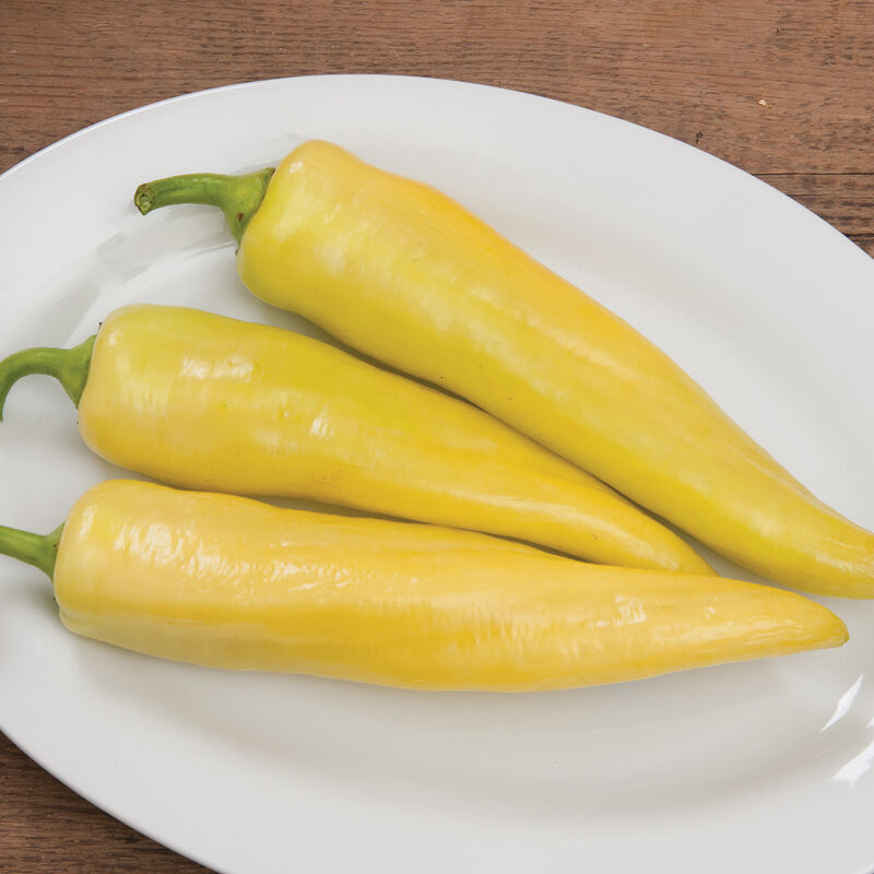 Banana Pepper - Goddess