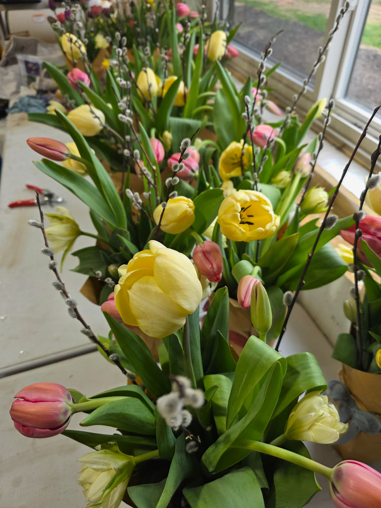 Mother's Day Tulips