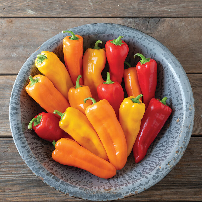 Cornito Sweet Pepper Mix