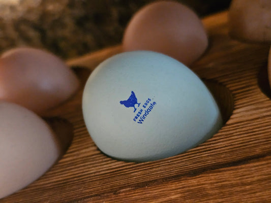 Fresh Eggs