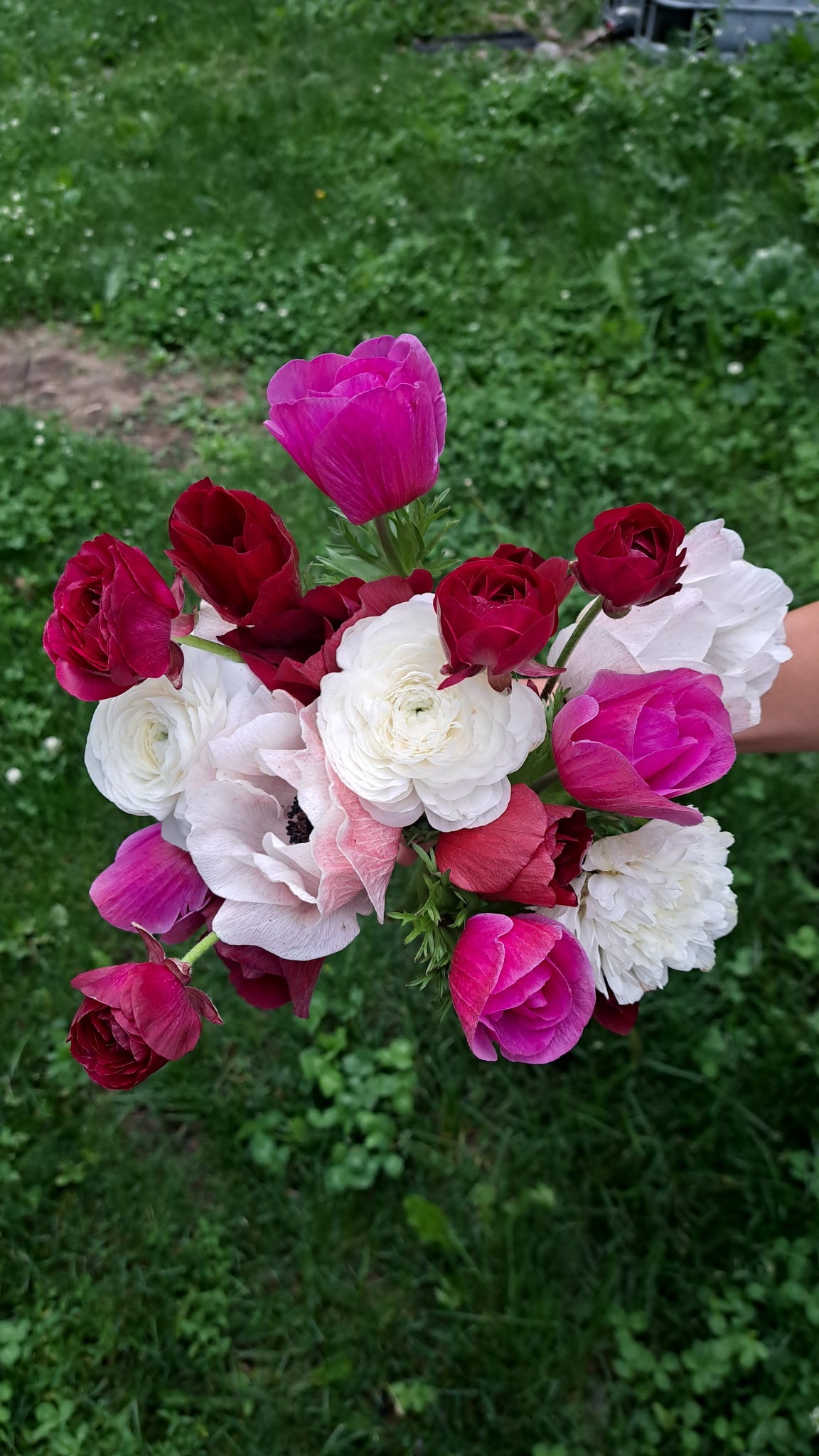 Spring Bouquet Subscription