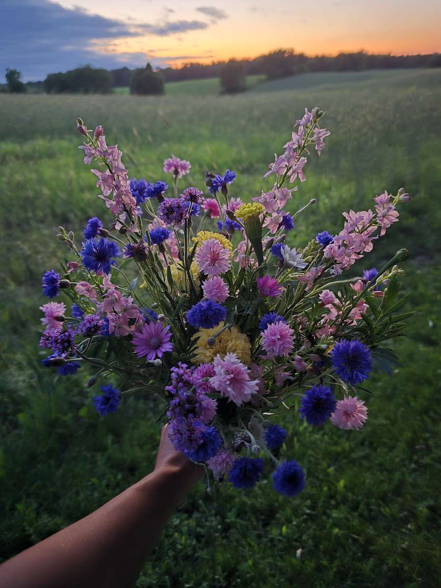 U-Pick Flowers